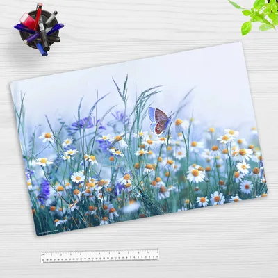 Produktbild von Schreibtischunterlage für Kinder und Erwachsene – “Wiesenblumen“ – aus erstklassigem strapazierfähigem Vinyl – 60 x 40 cm – Germany