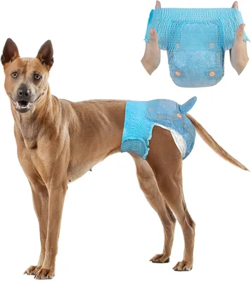 Imagen del producto de Pañales para perros grandes, para hembras, con cintura elástica, desechables, cobertura de 360 grados, 1 unidad