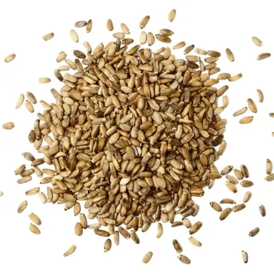 Produktbild von Mariendistelsamen ganz 1 kg | Ganze Samen, mild-nussig