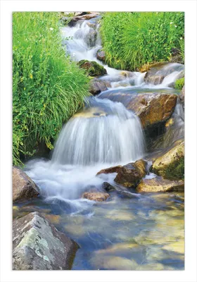 Produktbild von Wallario Wandbild Kleiner Bach über Steine, Größe: 61 x 91,5 cm, Poster mit rahmenlosen Bildhalter