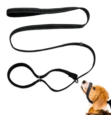 Image de Laisse de dressage pour chiens, réglable, anti-traction, longueur 180 cm, en nylon, réfléchissante
