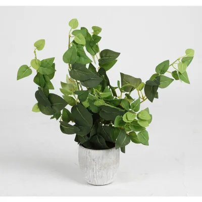 Produktbild von 12 Stück Künstlicher Efeu 32cm im Keramiktopf Kunstblumen Pflanzen Dekoration Set