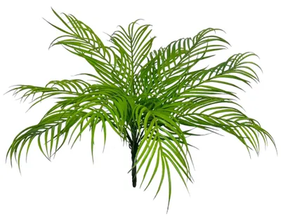 Produktbild von Künstlicher Palmblattbusch mit 10 Palmblätter, ca. 48cm. Zimmerpflanze