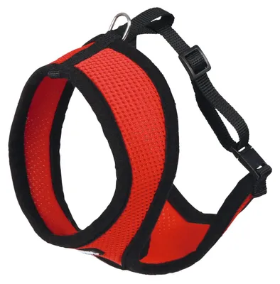 Produktbild von Kerbl 82644 Katzengeschirr Active mit Leine 120 cm, rot