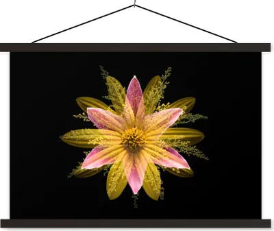 Produktbild von MuchoWow® Textilposter Eine gelbe Blume auf schwarzem Hintergrund 60x40 cm mit schwarzem Rahmen - Hölzernes