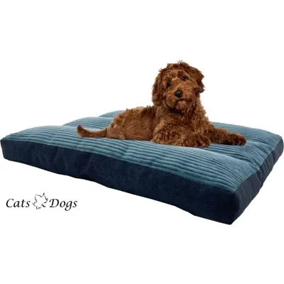Produktbild von Hundematte Hundebett S waschbar mit Reißverschluss 60 x 47 x 8 cm Platan Sofa Blau Türkis für Hunde bis 12 kg