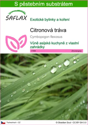 Obrázek produktu pro SAFLAX - citronová tráva - Cymbopogon flexosus - 50 Semena - S pěstebním substrátem bez klíčků