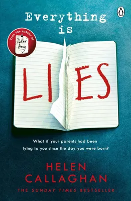 Produktbild von Everything Is Lies