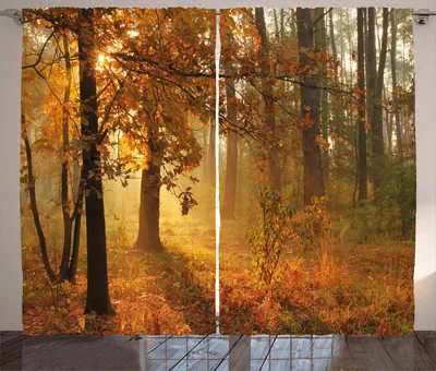 Produktbild von ABAKUHAUS Fallen Rustikaler Gardine, Misty Herbstwald, Schlafzimmer Kräuselband Vorhang mit Schlaufen und Haken, 280 x 225 cm, Orange Braun Grün