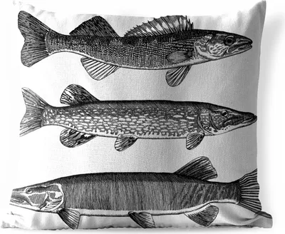 Produktbild von MuchoWow® Outdoor Kissen - Eine Illustration von drei Fischen - 45x45 cm - Wetterfest - Lounge Kissen - Fotokissen - Dekoratives Kissen