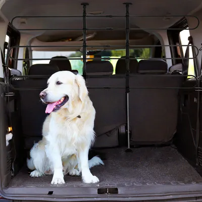 Produktbild von SUGIFT Trenngitter Auto Stahl, Hundegitter Kofferraum Universal, Schutzgitter verstellbar, Schwarz | werkzeuglos | 1 mm Stahl | 89–150 x 76–124 cm