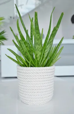 Obrázek produktu pro Kerd Eko Natural, květináč Boho, bílý, 16 cm