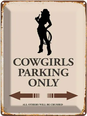 Produktbild von vianmo Blechschild 40x30 cm Cowgirls parking only