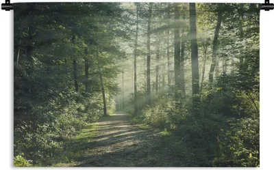 Produktbild von MuchoWow® Wandteppich Wandbehang Wald - Licht - Weg 60x40 cm Tapisserie Dekoration Wandtuch - Wanddekorationen