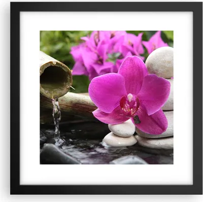 Produktbild von Gerahmtes Poster - Schwarzer Rahmen - Orchidee Bambus Dekoration Spa - 30x30 cm - Wand Bild - Wanddeko - Wandbilder - Wandposter - Bilderrahmen - Bilder - Kunstdruck - Wandbild - P2BAC30x30-2666