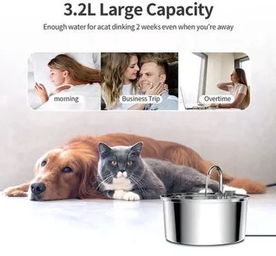 Image de Fontaine à eau pour chats - 3,2 litres - Acier inoxydable - Silencieuse - Distributeur d'eau automatique