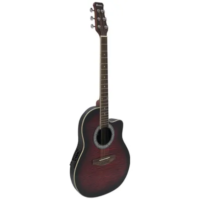 Image de DIMAVERY RB-300 Dos arrondi, pourriture (26235055)