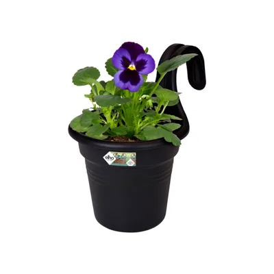 A black hanging planter with a purple pansy flower and green leaves.