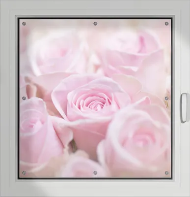 Produktbild von Wallario Lichtschutzbild, Dekorativer Sichtschutz Sonnenschutz 96 x 93 cm mit Motiv: Rosafarbene Rosenblüten im Strauß - Verdunklung ohne Bohren