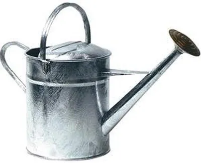 Produktbild von Famanu Gießkanne mit Ausguss - 9 Liter