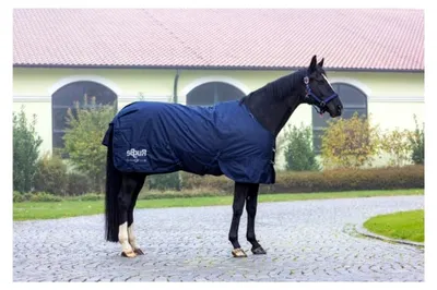 Produktbild von Winterdecke RugBe IceProtect 200g Dark Navy, 135 cm