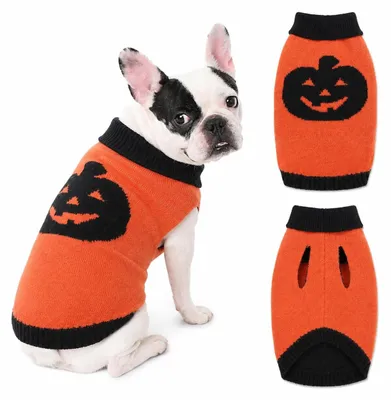 Produktbild von Gestrickter Halloween-Kürbis-Hundepulli für kleine und mittelgroße Hunde