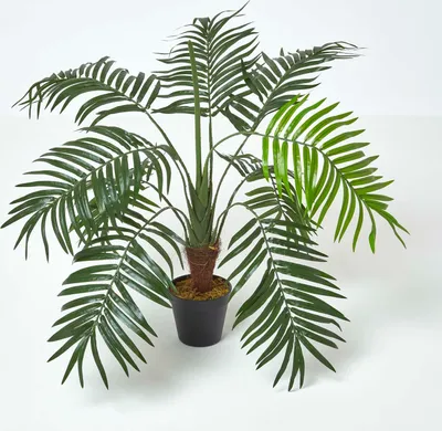 Obrázek produktu pro HOMESCAPES Umělý strom zelený 'Mini umělá palma', 70 cm