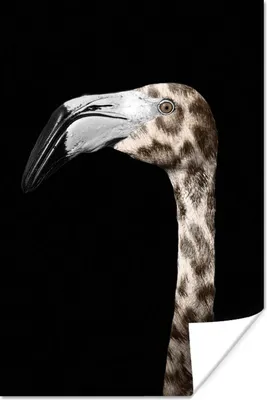Produktbild von MuchoWow® Poster Flamingo - Panther - Porträt 120x180 cm - Kunstposter
