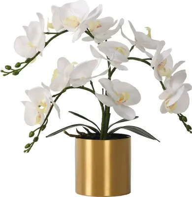 Produktbild von Famanu Kunstblume Orchidee mit Vase - Weiße Orchideenarrangements