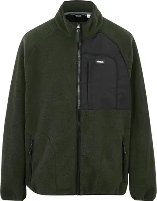 Image de Veste polaire à fermeture éclair intégrale Regatta Frankie Borg pour homme