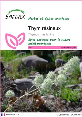 Image de SAFLAX - Thym résineux - 250 graines - Thymus