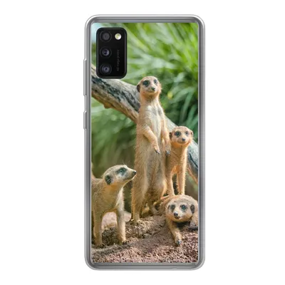 Produktbild von MuchoWow® Handyhülle Schutzhülle Hülle für Samsung Galaxy A41 Familie - Tiere - Erdmännchen Silikon Softcase Handy Hülle - Mobiltelefon