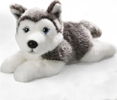 Produktbild von Carl Dick Husky liegend, Hund, ca. 20cm 2154008 Kuscheltier, Plüschtier, Stofftier