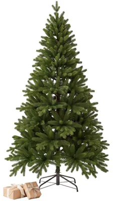 Produktbild von VIVANNO Weihnachtsbaum Polyethylen NORDMANN 270 Rund, Grün naturgetreu - 165x270 cm