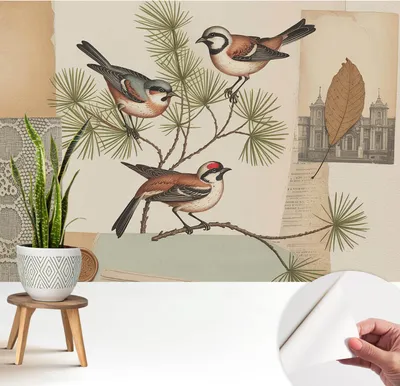 Produktbild von Fototapete selbstklebend - 208x146 cm - Tapete - Wandtapete - Wandbilder - Klebefolie - Dekofolie - Tapete Folie - Wand - Dekoration - Wohnzimmer - Vogelcollage