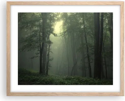 Produktbild von Gerahmtes Poster - Rahmen in heller Eiche - Wald Nebel Baum - 50x40 cm - Wand Bild - Wanddeko - Wandbilder - Kunstposter - Wandposter - Bilderrahmen - Bilder - Kunstdruck - Wandbild - P2NAA50x40-3543