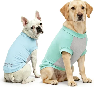 Productafbeelding van Koelvest Hond - Set van 2 - Gevoerd - Ademend - Bescherming Shirt