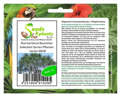 Produktbild von 5x Aloe barberae Baumaloe Sukkulent Garten Pflanzen - Samen B628