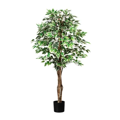 Produktbild von Kunstpflanze Ficus Benjamin Höhe: 150 cm grün-weiß