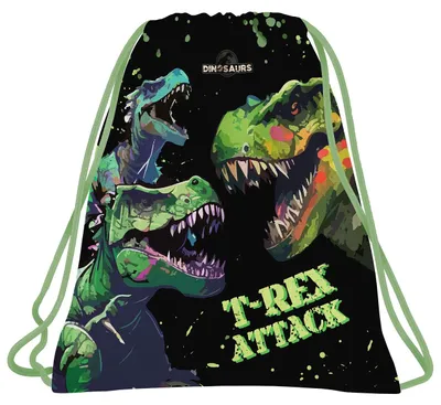 Obrázek produktu pro Sáček na boty Dinosaurus 20 Derform