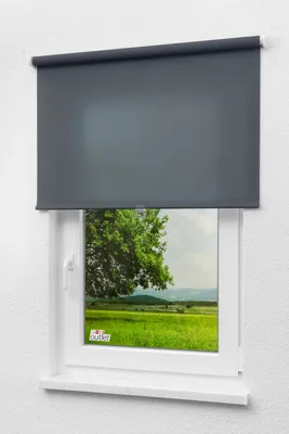 Produktbild von Lysel - Qualitätsspringrollo Tageslicht (B x H) 93cm x 190cm in dunkelgrau
