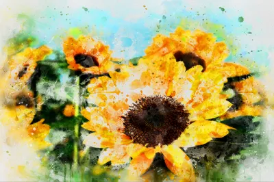 Immagine prodotto di Muralo foto fiori 270 (L) x 180 (A) cm carta da parati in tessuto non tessuto murale soggiorno camera da letto murales moderno XXL piante natura decorazione murale