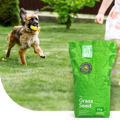 Immagine prodotto di Elzusha - Miscela di semi per prato da gioco e sport (5 kg) - Germinazione rapida e calpestabile (per 250 m²)