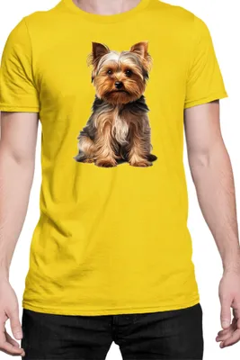 Produktbild von Herren T-Shirt Dogs Breeds Yorkshire Terrier Dog Breed 006, Man L / Gelb