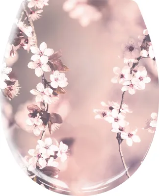 Produktbild von Kleine Wolke WC-Sitz BLOSSOM Nelke mit Absenkautomatik und Easy Clean
