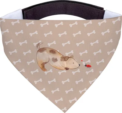 Produktbild von Mr. & Mrs. Panda Hunde Halstuch Hund Marienkäfer - Hundeglück - Geschenk, Hunde-Halstuch, Neugierig, Mischlinghund, Mischlingshund, Für, Sprüche