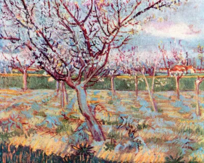 Produktbild von Vincent Van Gogh Kunstdruck Bild - Blühende Bäume, 1888 (40 x 50 cm)