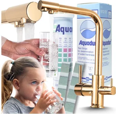 Produktbild von 3-Wege Küchenarmatur Venom mit Wasserfilter-Anschluss, herausziehbare Brause, 360° schwenkbar, getrennte Wasserwege, Keramikkartusche Gold