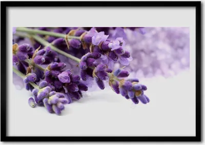 Produktbild von Bild 100x70 MDF-Rahmen Wandkunst Blumen Natur Pflanzen