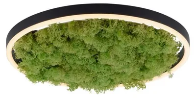 Productafbeelding van Plafondlamp Green Ritus met mos Ø 39,3cm